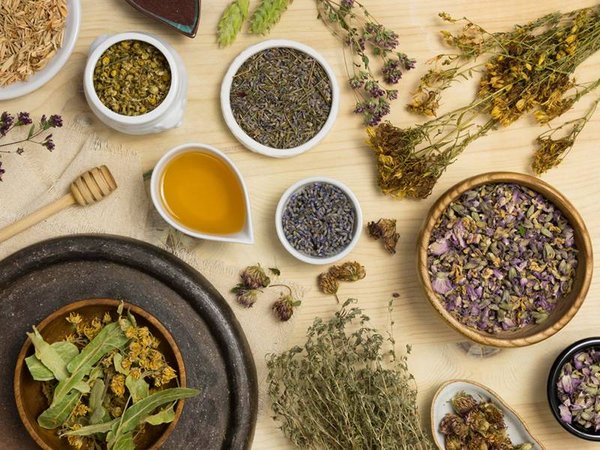 Les bienfaits des plantes médicinales
