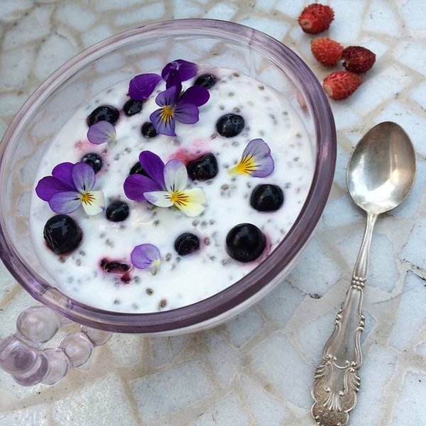 Fleurs comestibles : une introduction à la culture et à la cuisine avec les délices de la nature
