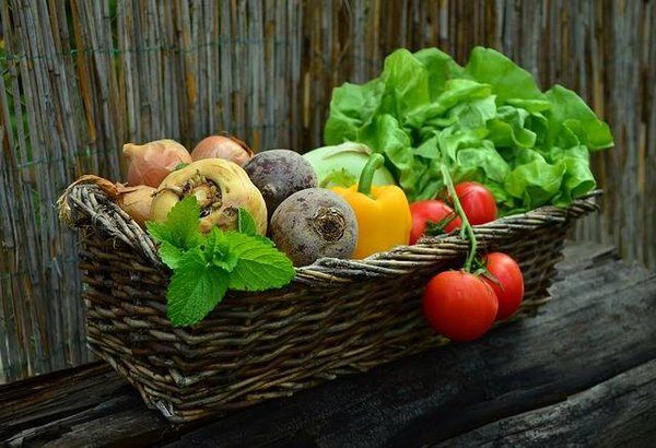 Les légumes les plus faciles à cultiver dans votre jardin
